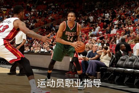 关于运动员职业指导