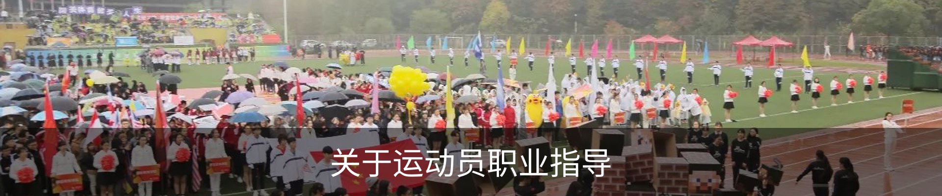 关于运动员职业指导